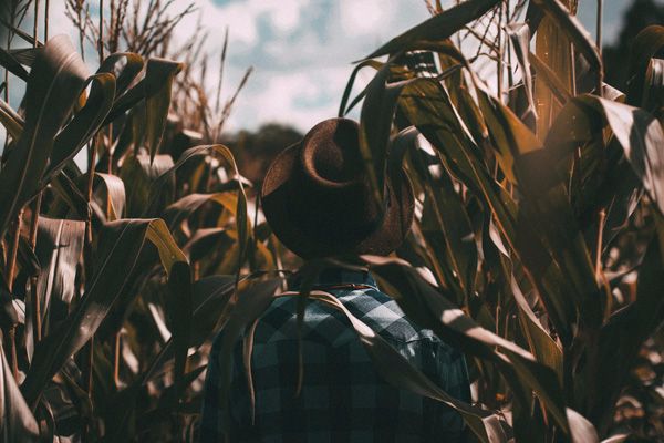 Autism-Parenting-resources